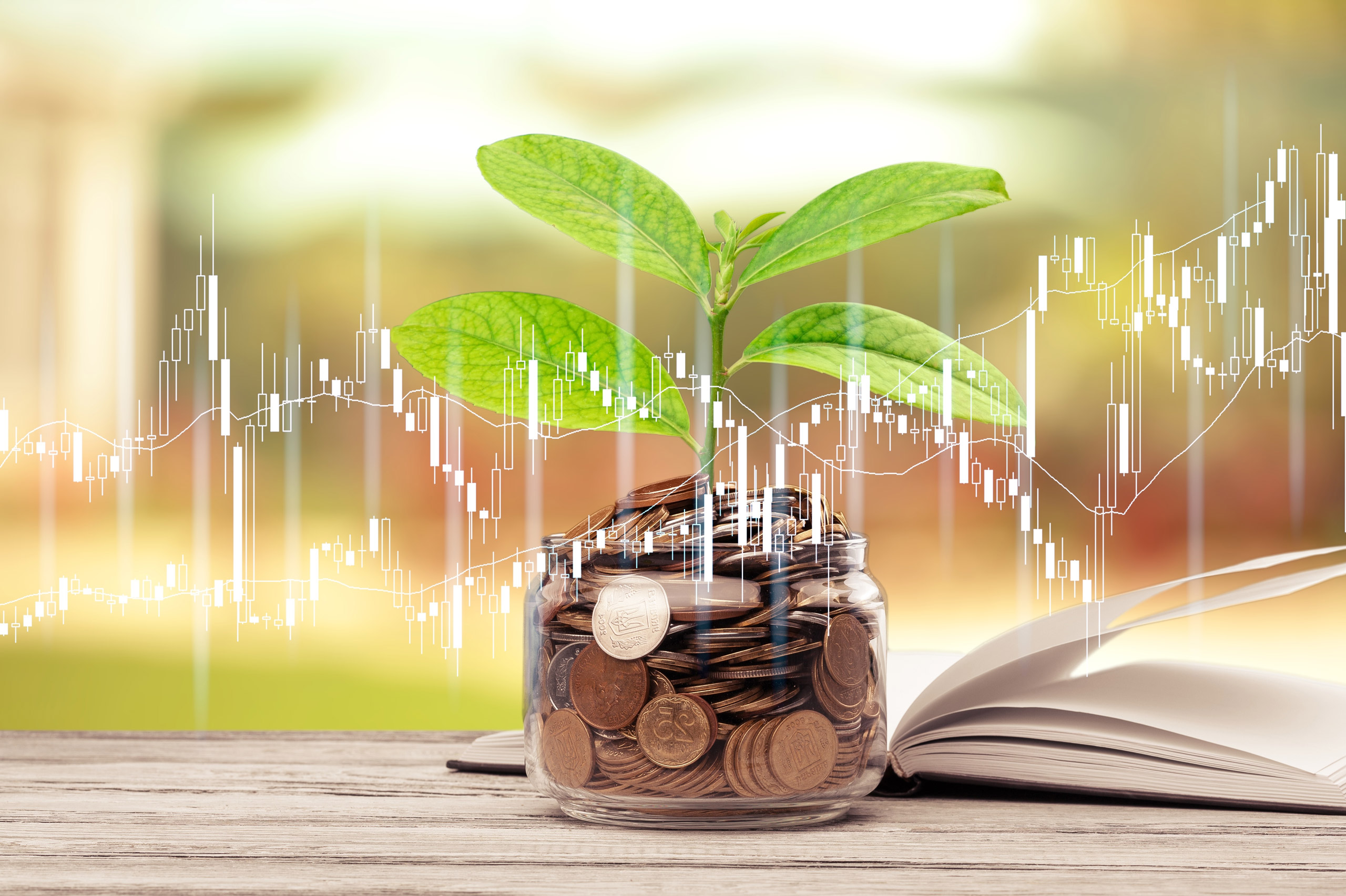 Green Plant Growing On Glass Jar