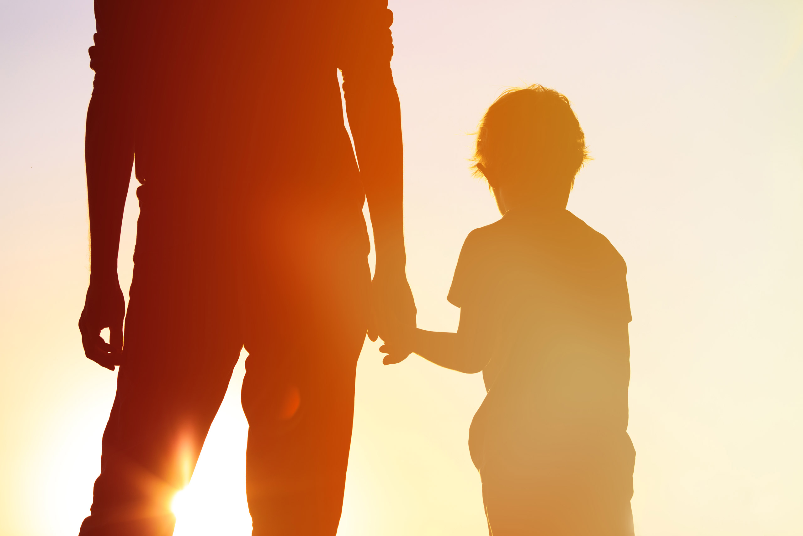 Silhouette Father Son Holding Hands